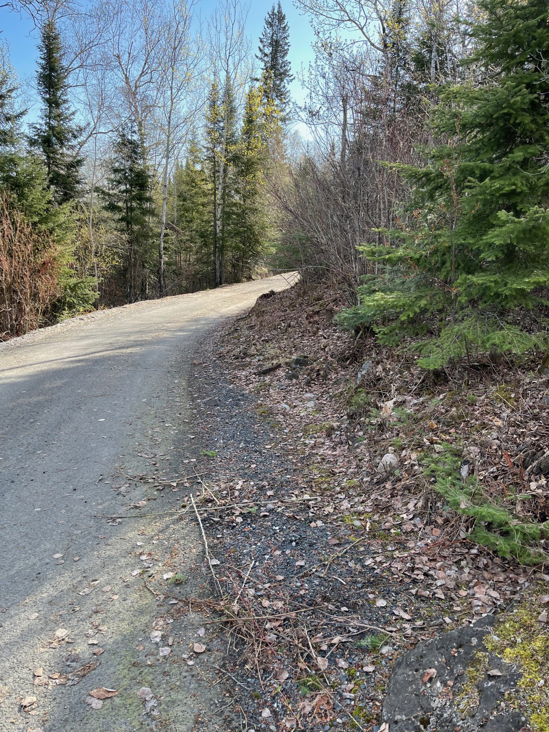 Seasonal Property Maintenance