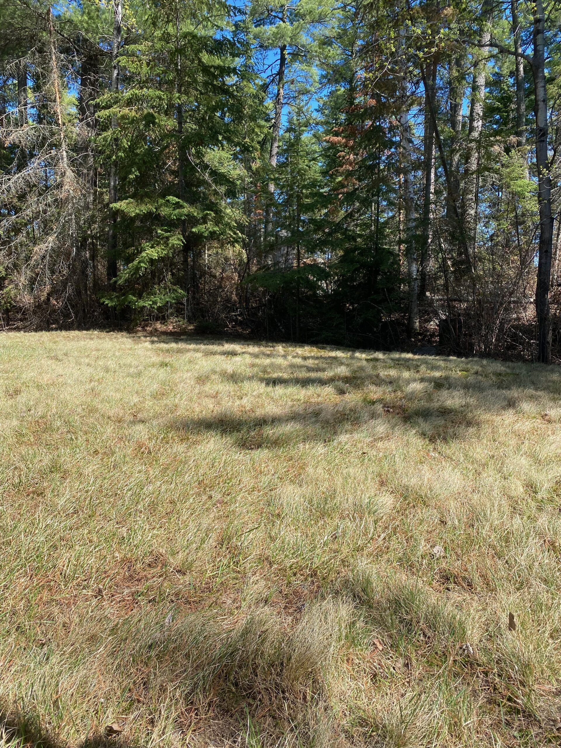 Seasonal Property Maintenance