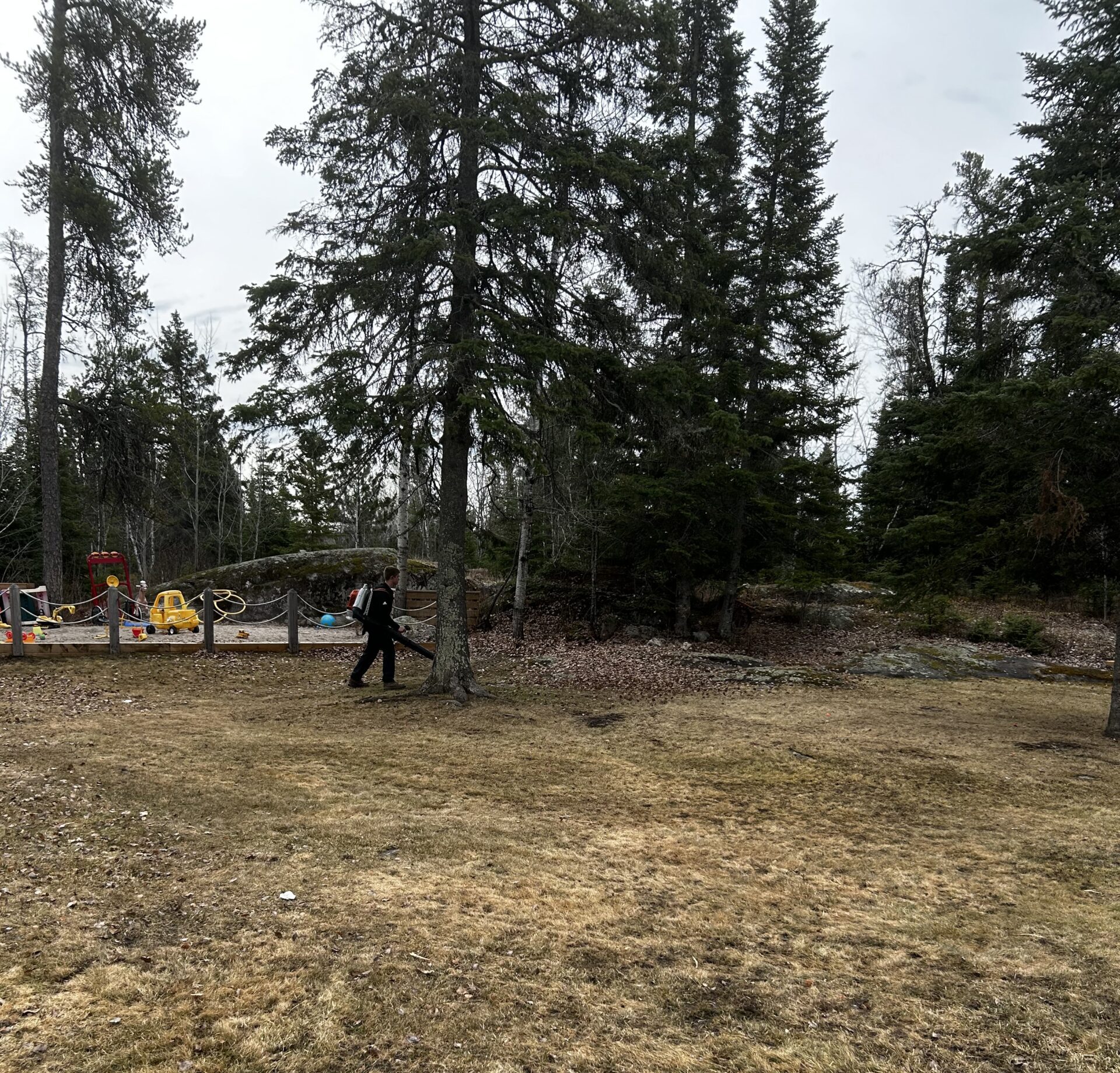 Property Maintenance